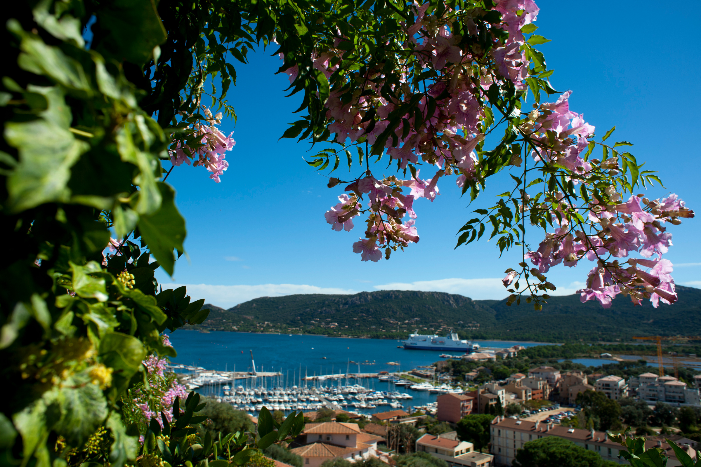 9 porto, corsica.webp